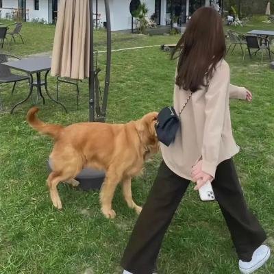 寻找艾米丽